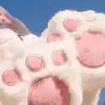 Pelúcia Gata Marie 30cm Anti-alérgica + BRINDE GRÁTIS - Imagem 4